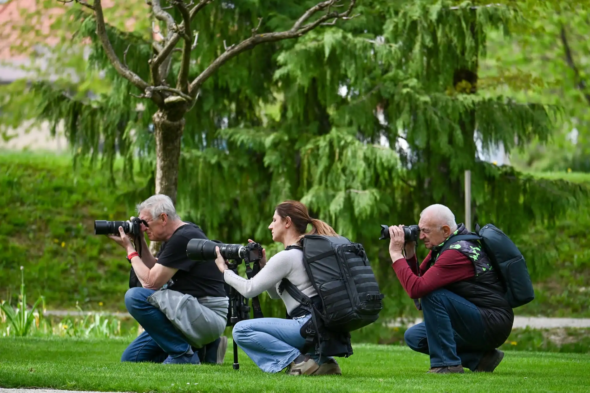 Fotografija